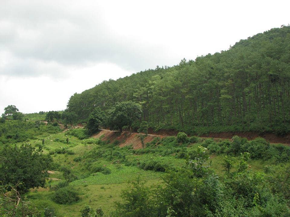 Will Daringbadi – Odisha’s Kashmir remain?