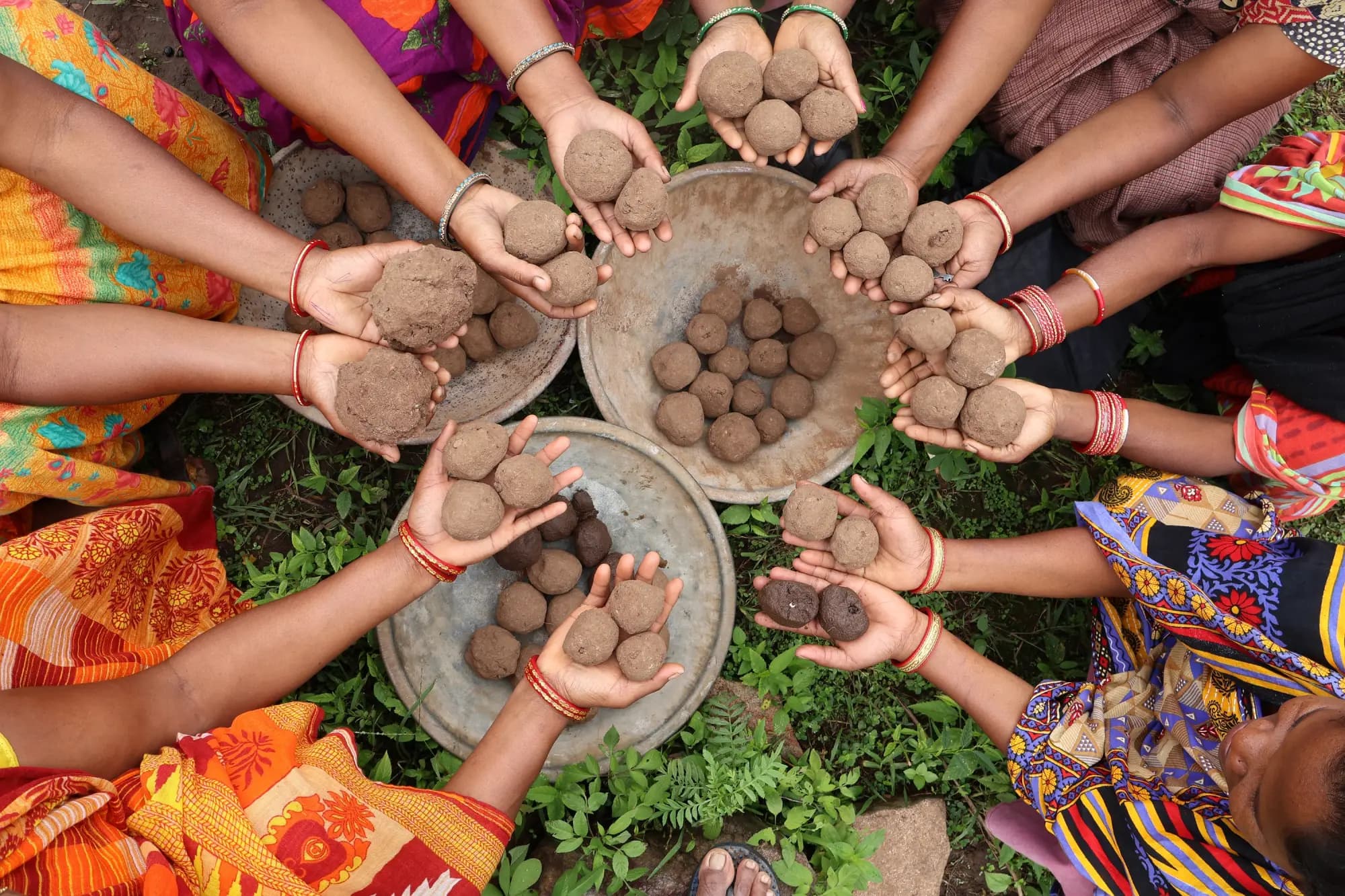 Empowering Communities Through Forest Rights